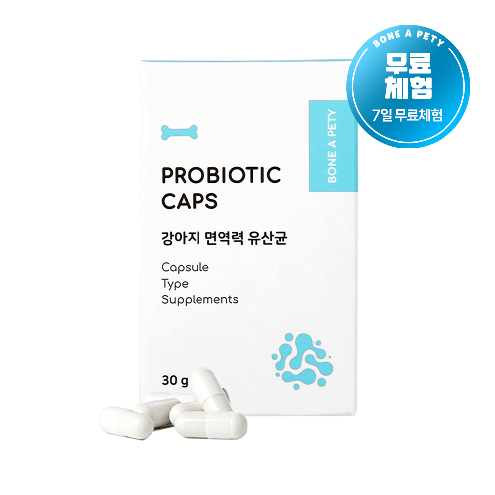 [2+1+무료배송] 강아지 면역력 유산균 영양제 본아페티 프로바이오틱스 캡스 60정